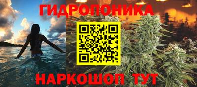 a pvp Краснодар